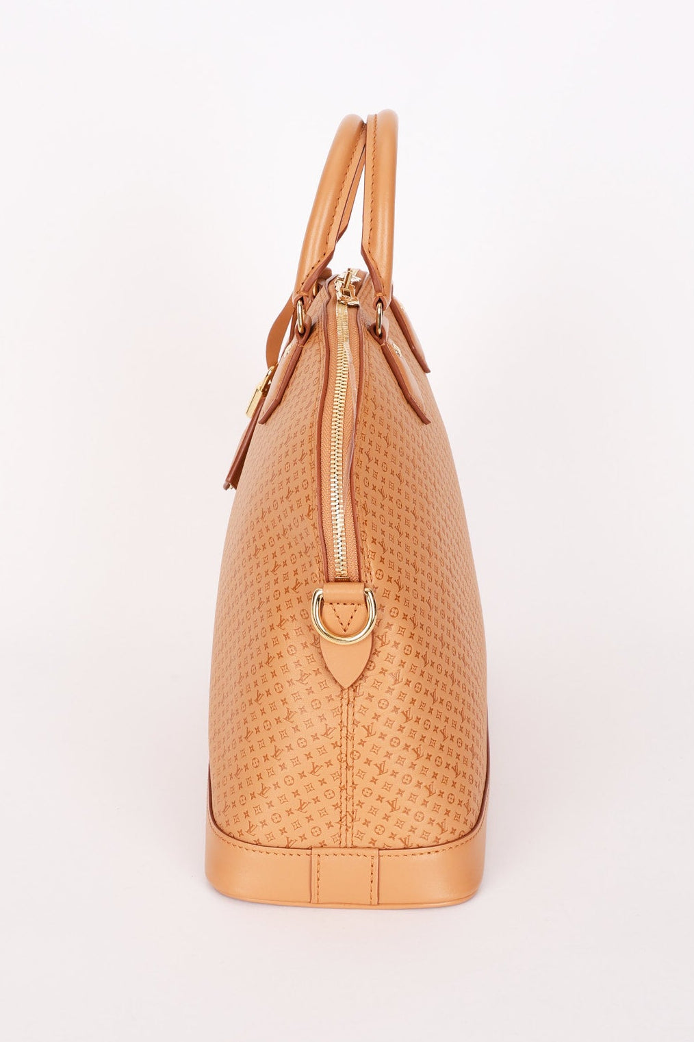 Louis Vuitton Mini Monogram Soft Alma MM