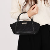 Christian Dior Street Chic Trotter Bag