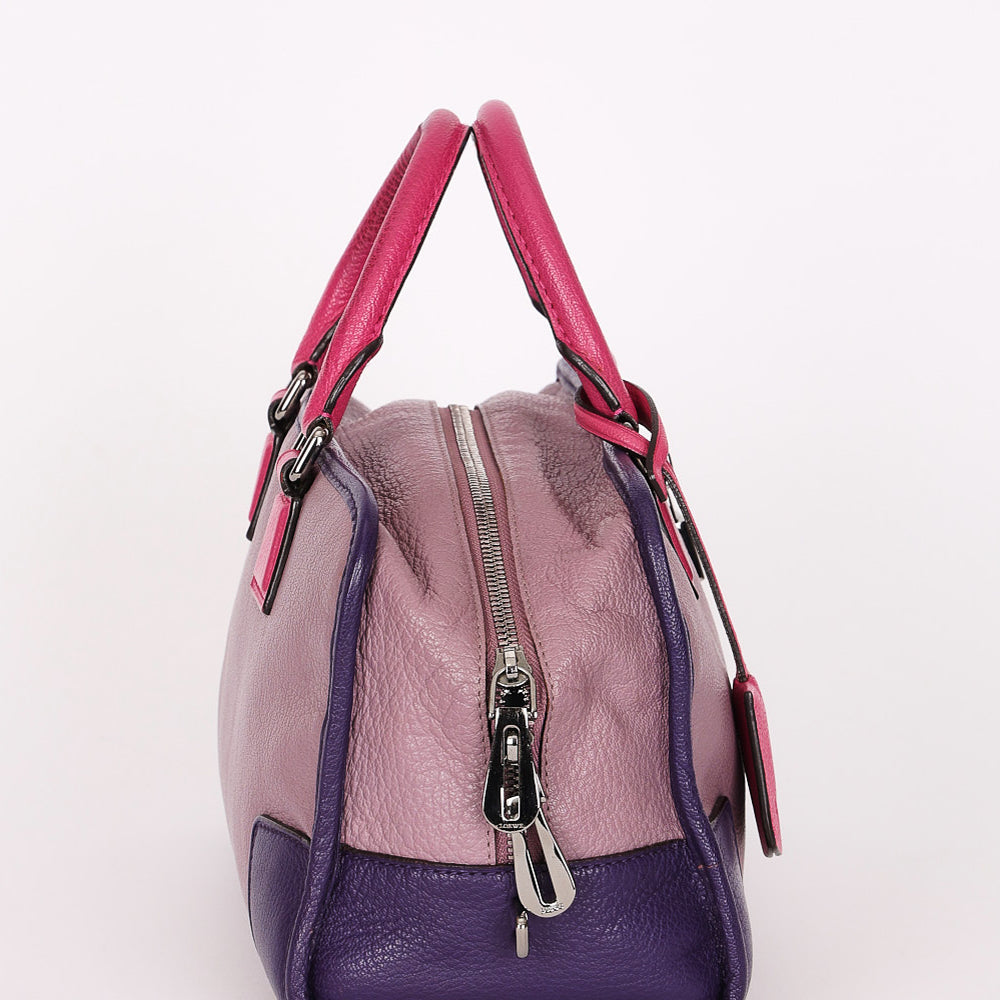 Loewe Tricolor Amazona 28 Chevre 2012