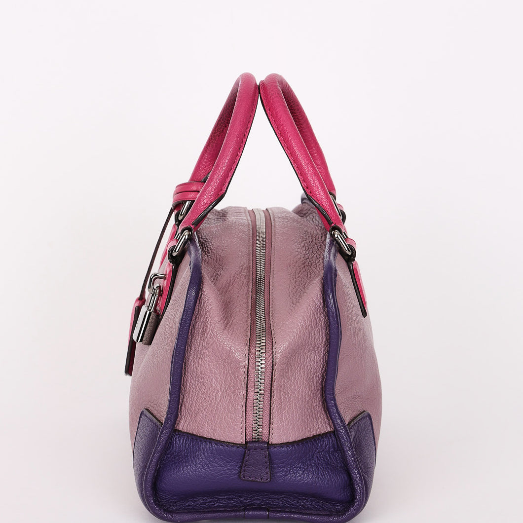 Loewe Tricolor Amazona 28 Chevre 2012