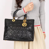 Christian Dior Large Lady
