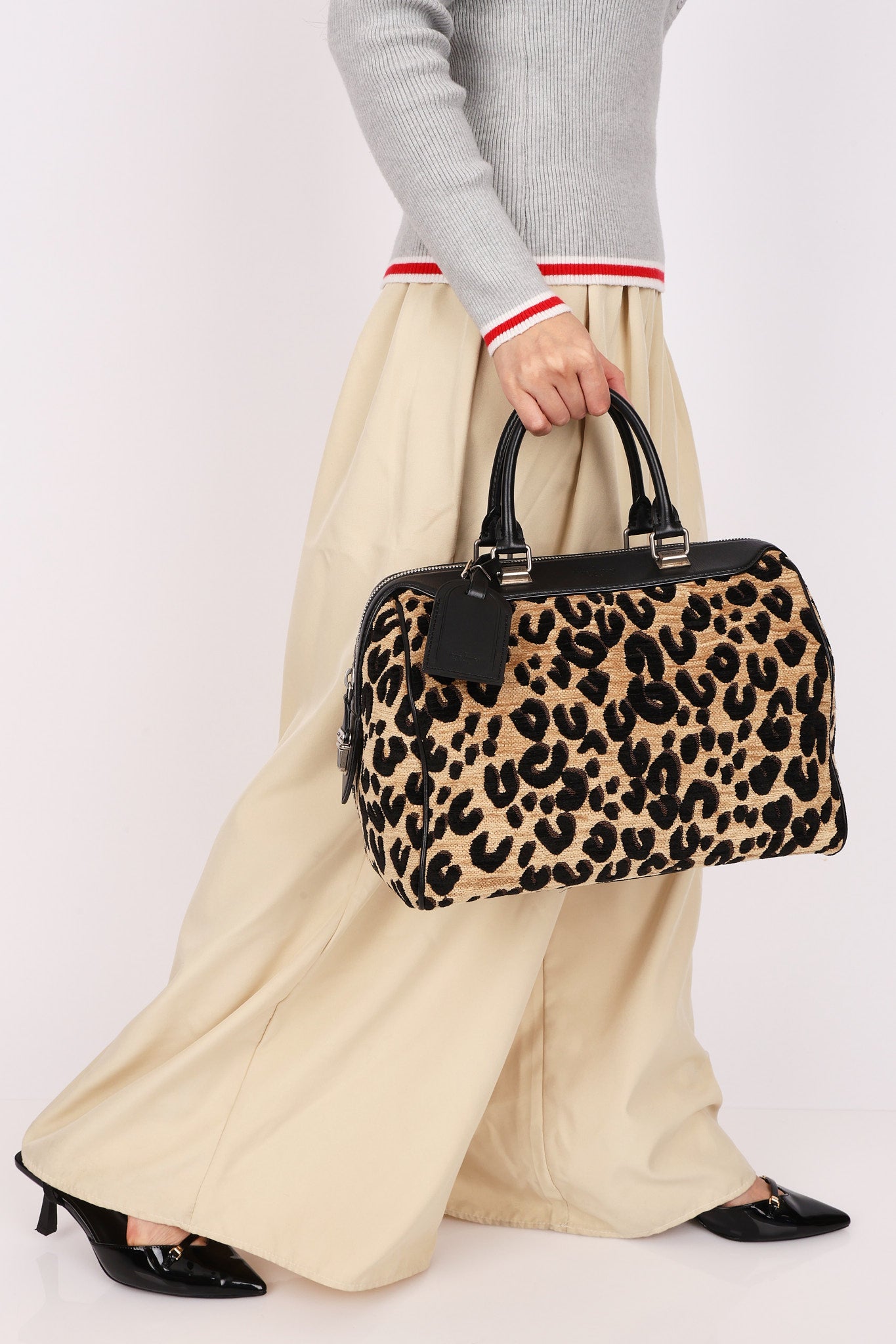 Louis Vuitton x Stephen Sprouse Cheetah Print Speedy 30