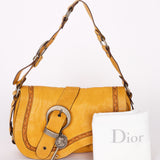 Christian Dior Gaucho Double Saddle Bag