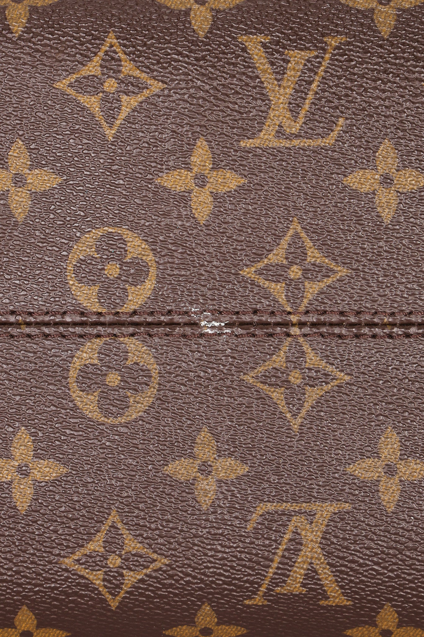 Louis Vuitton Monogram Raspail PM