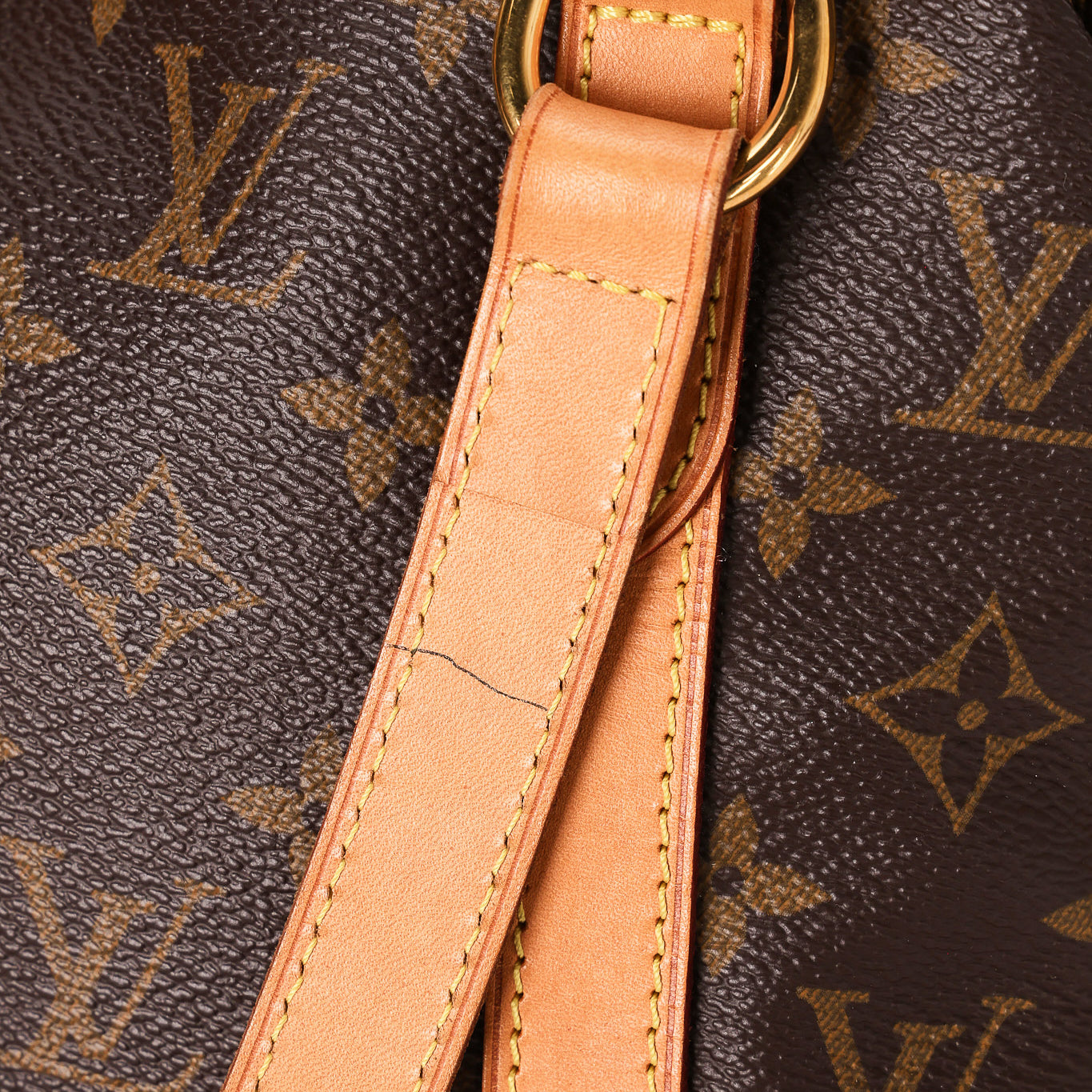 Louis Vuitton Monogram Stresa PM