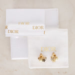 Dior Earrings