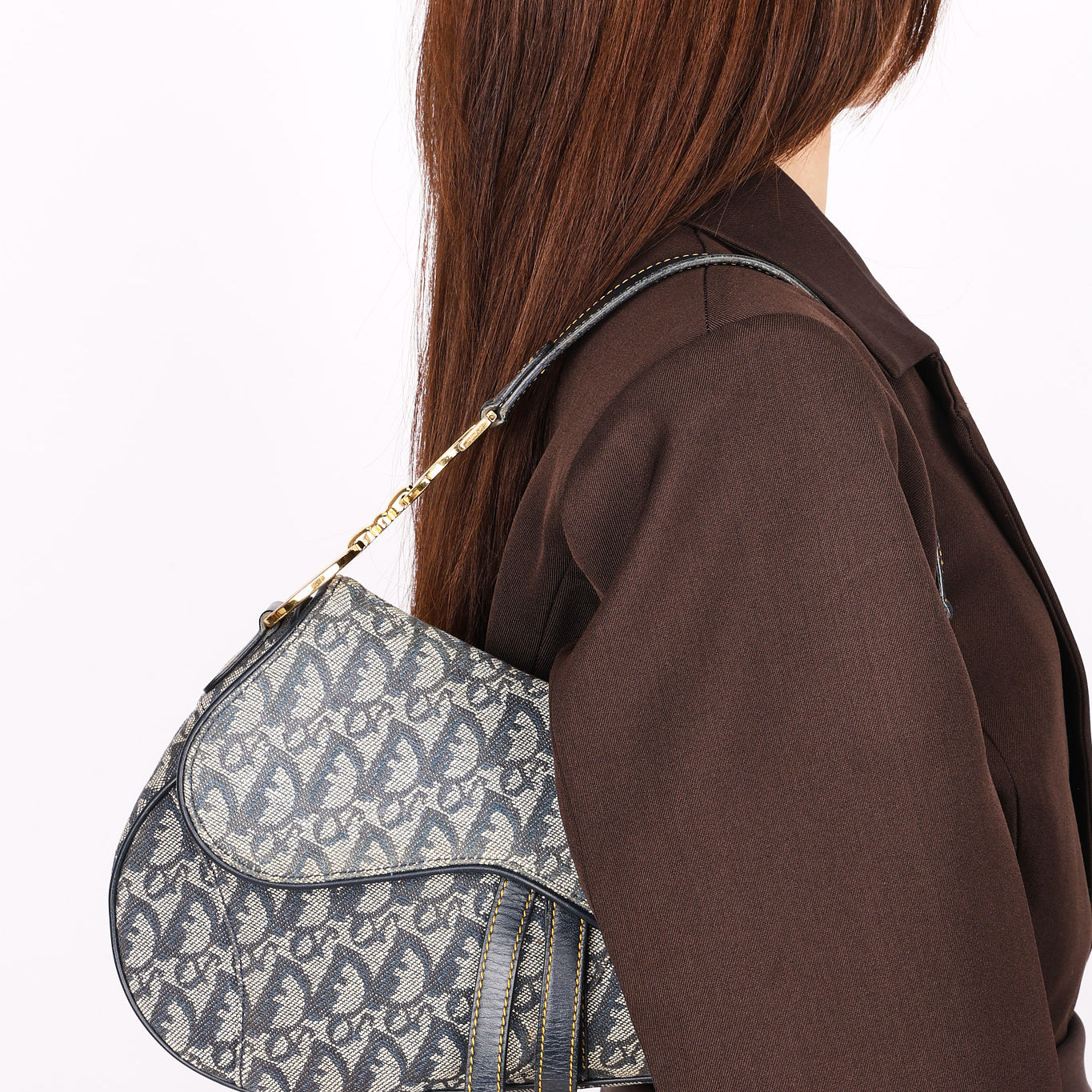 Dior Trotter Medium Saddle