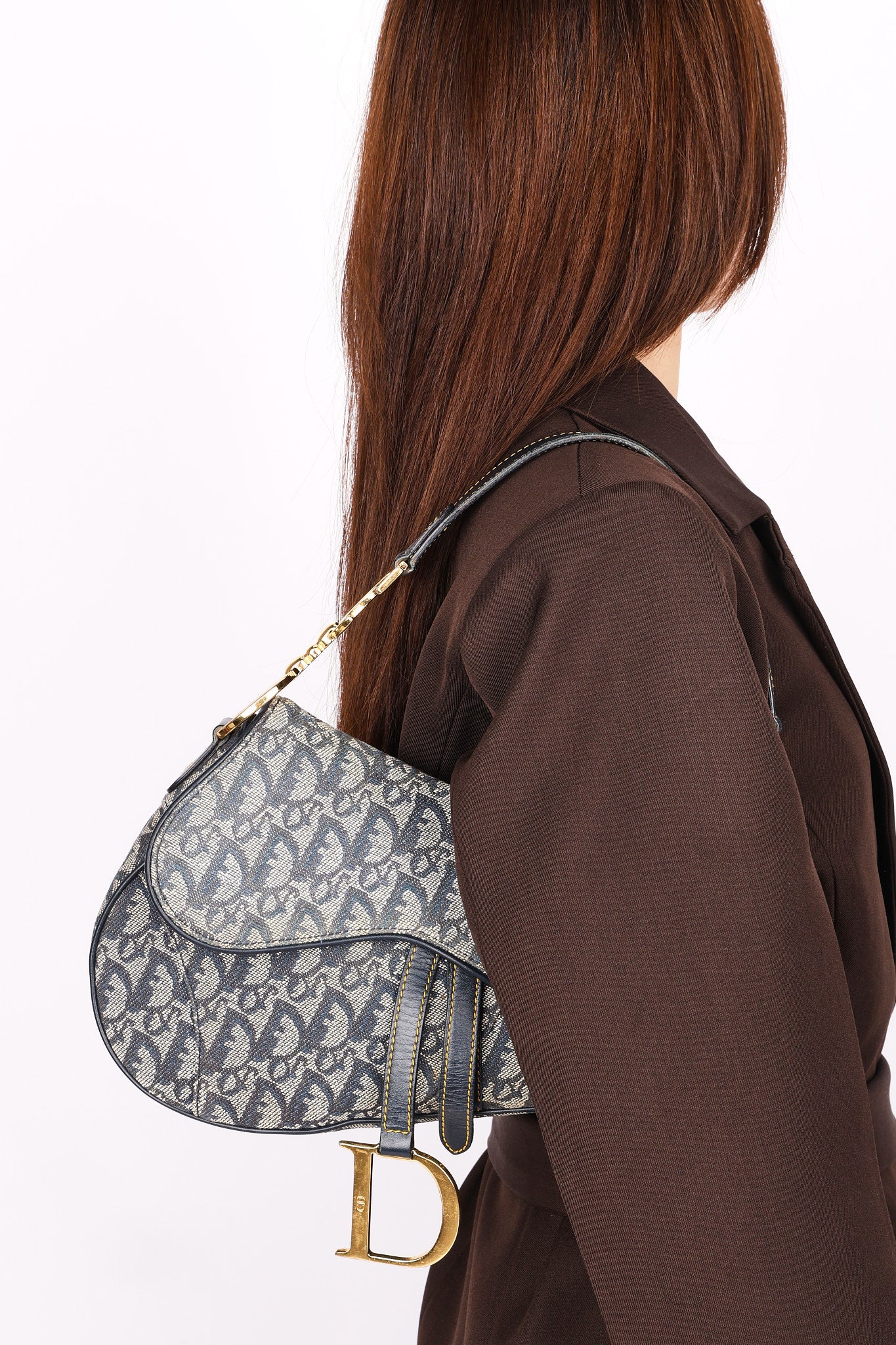 Dior Trotter Medium Saddle