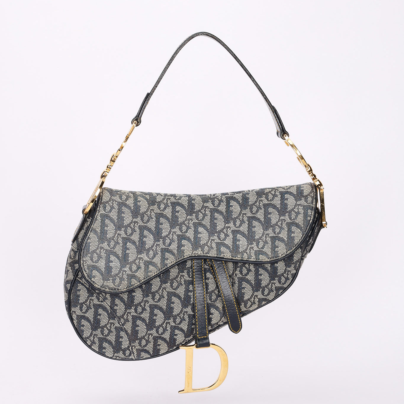 Dior Trotter Medium Saddle