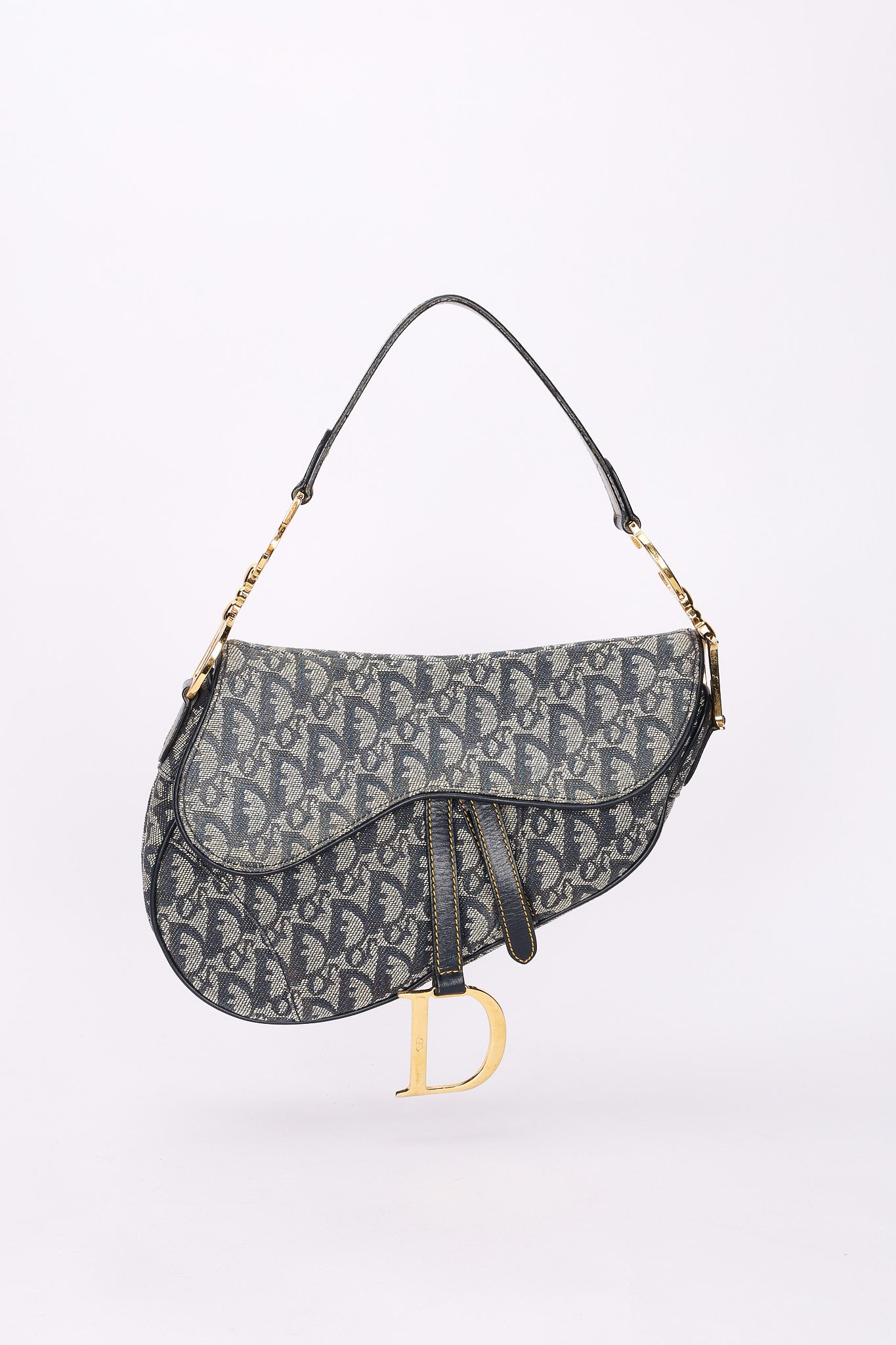 Dior Trotter Medium Saddle
