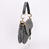 Dior Trotter Medium Saddle