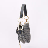 Dior Trotter Medium Saddle