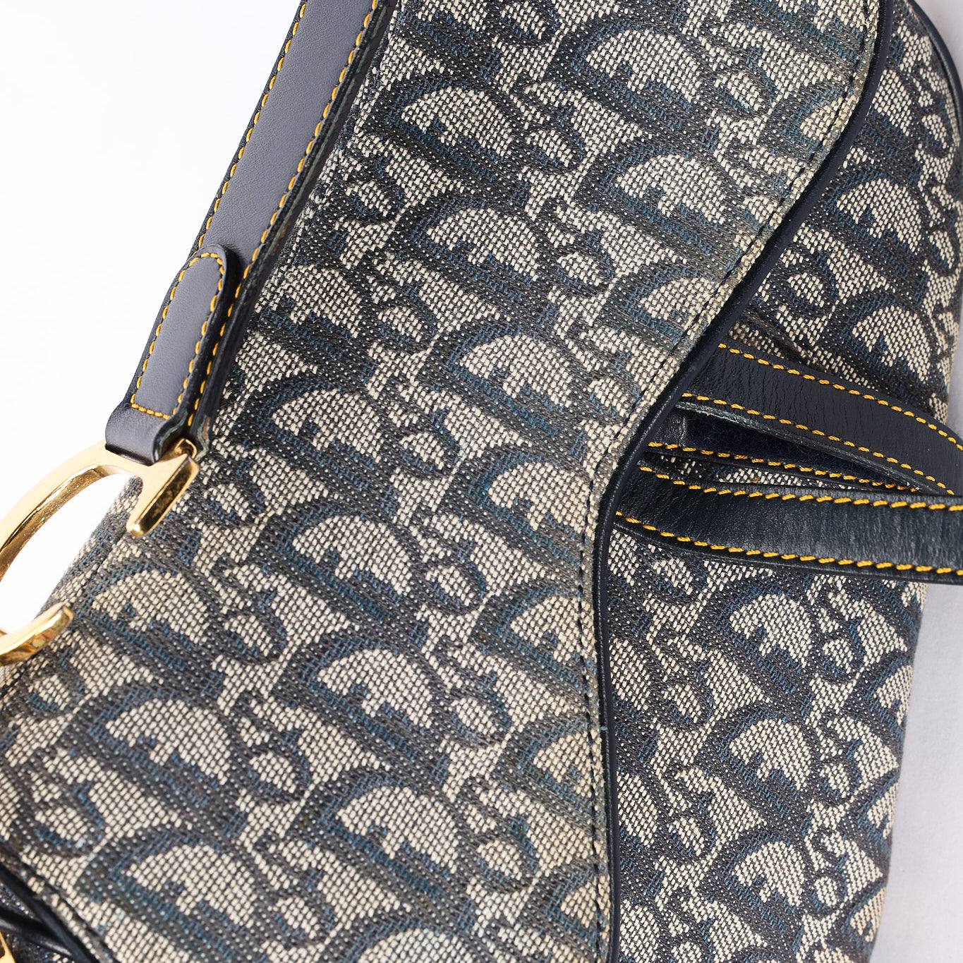 Dior Trotter Medium Saddle