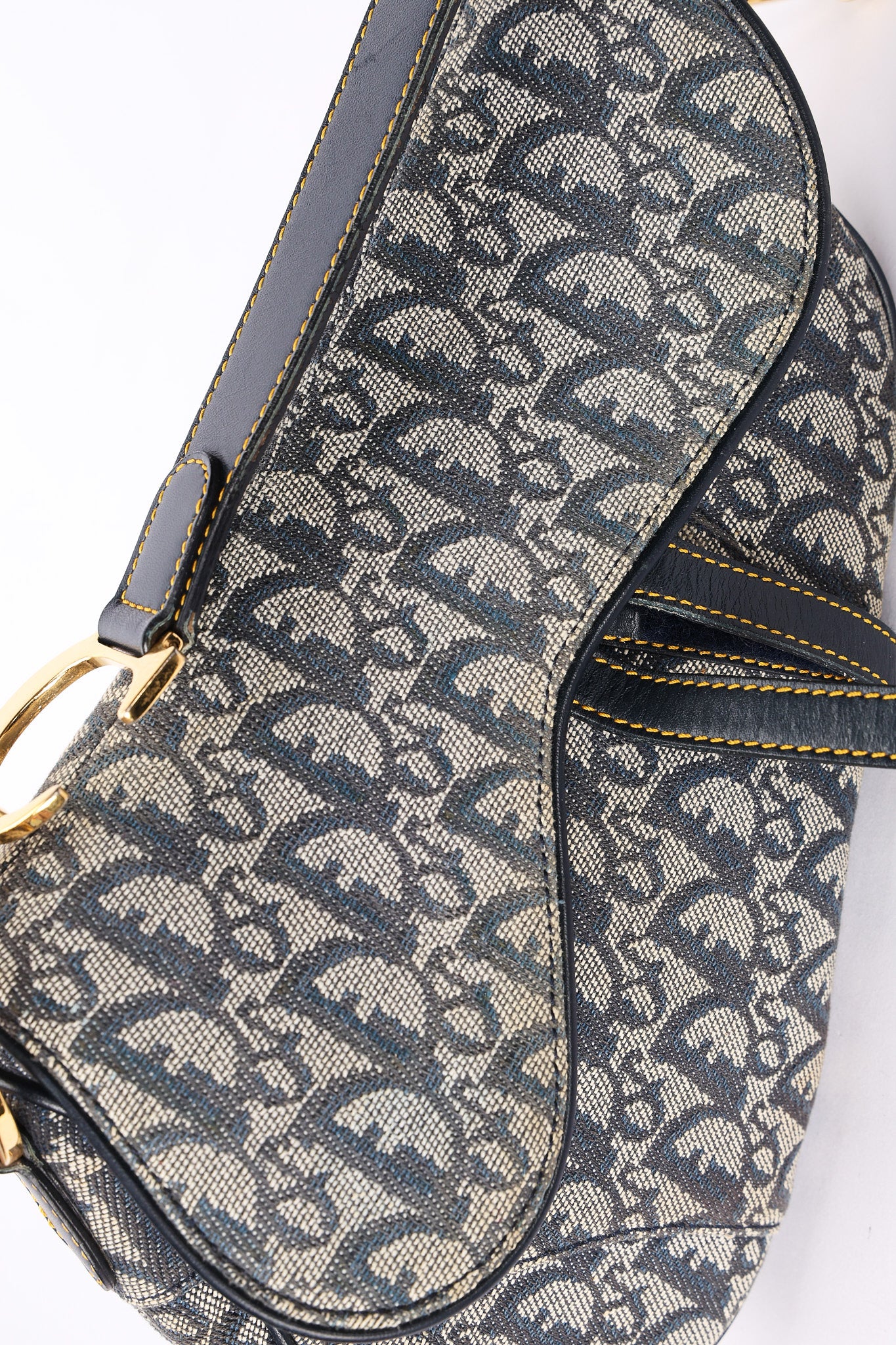 Dior Trotter Medium Saddle