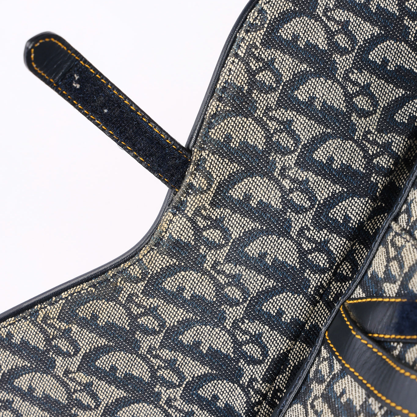 Dior Trotter Medium Saddle