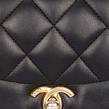Chanel Diana Flap Black Calfskin AGHW