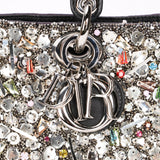 Dior Embellished Diorissimo Bag