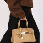 Limited Edition Hermès Shoulder Birkin Light 29 Poussière Evercolor Retourne 2025 PBHW