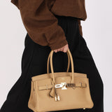 Limited Edition Hermès Shoulder Birkin Light 29 Poussière Evercolor Retourne 2025 PBHW