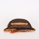 Louis Vuitton Monogram Bum Bag