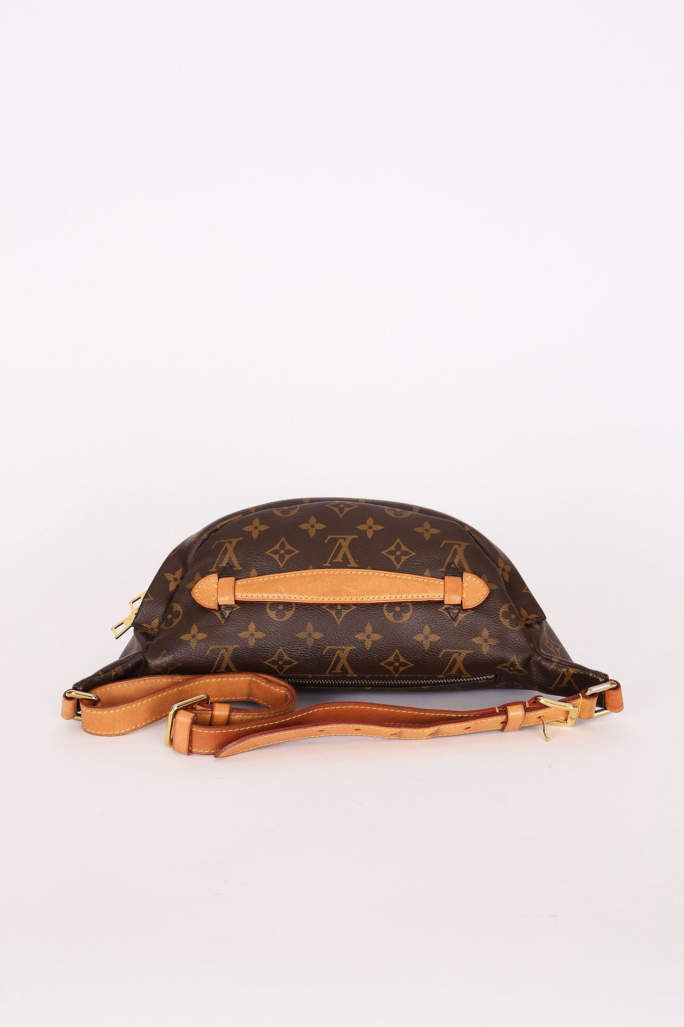 Louis Vuitton Monogram Bum Bag