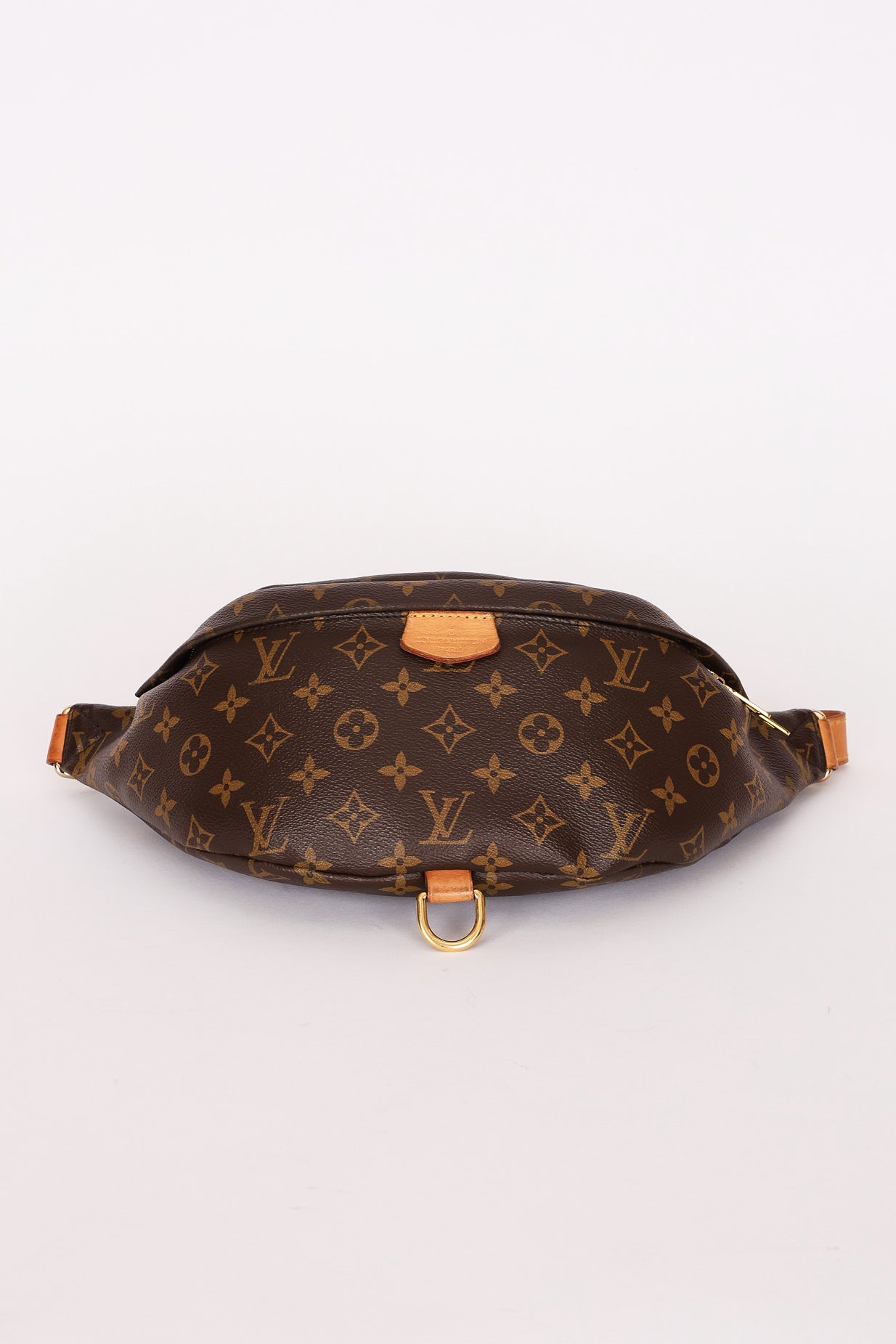 Louis Vuitton Monogram Bum Bag