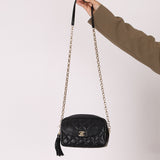 Rare Chanel 2019 Lambskin Bijoux Diana Camera Bag