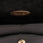 Chanel Medium Naked Classic Double Flap Black Caviar AGHW