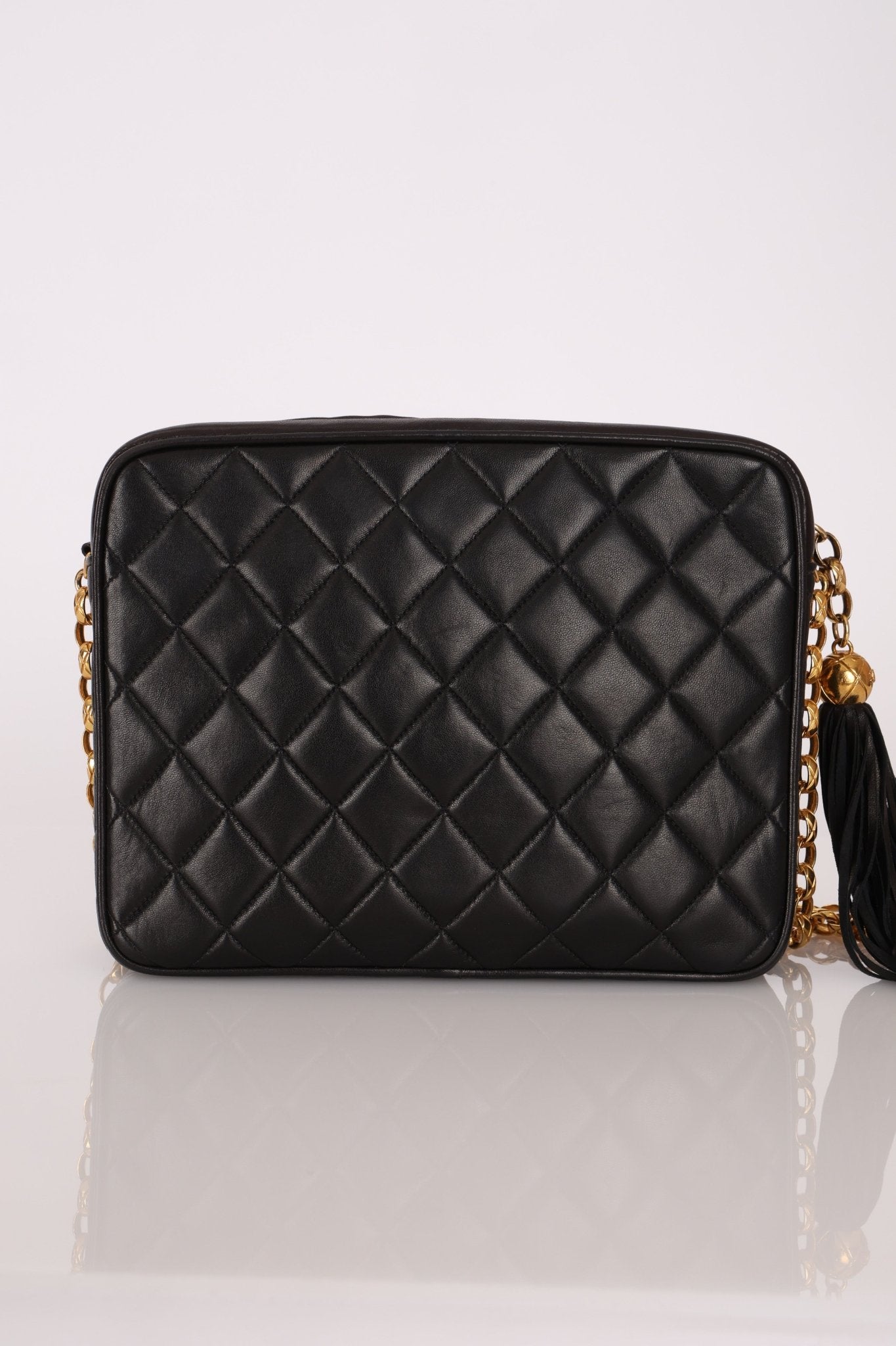 Chanel 1991 Lambskin Diana Bijoux Camera Bag 24K GP - FashioNica