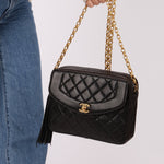 Chanel 1991 Lambskin Diana Bijoux Camera Bag 24K GP - FashioNica