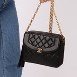 Chanel 1991 Lambskin Diana Bijoux Camera Bag 24K GP - FashioNica
