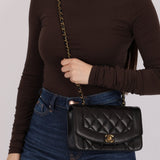 Chanel 1995 Lambskin Small Diana Flap 24K GP - FashioNica