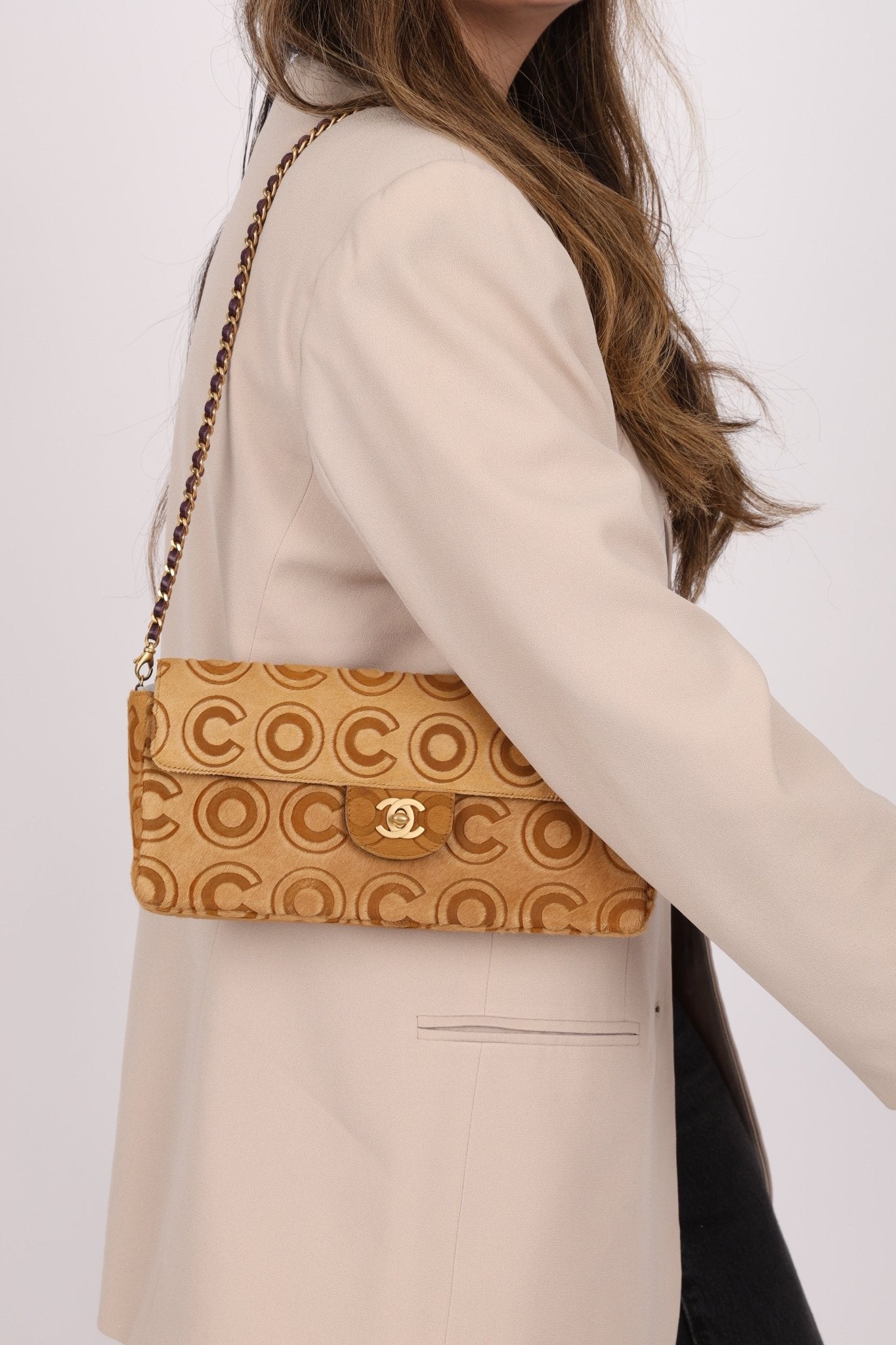 Chanel 2000 Coco Pony Hair East West Flap - FashioNica