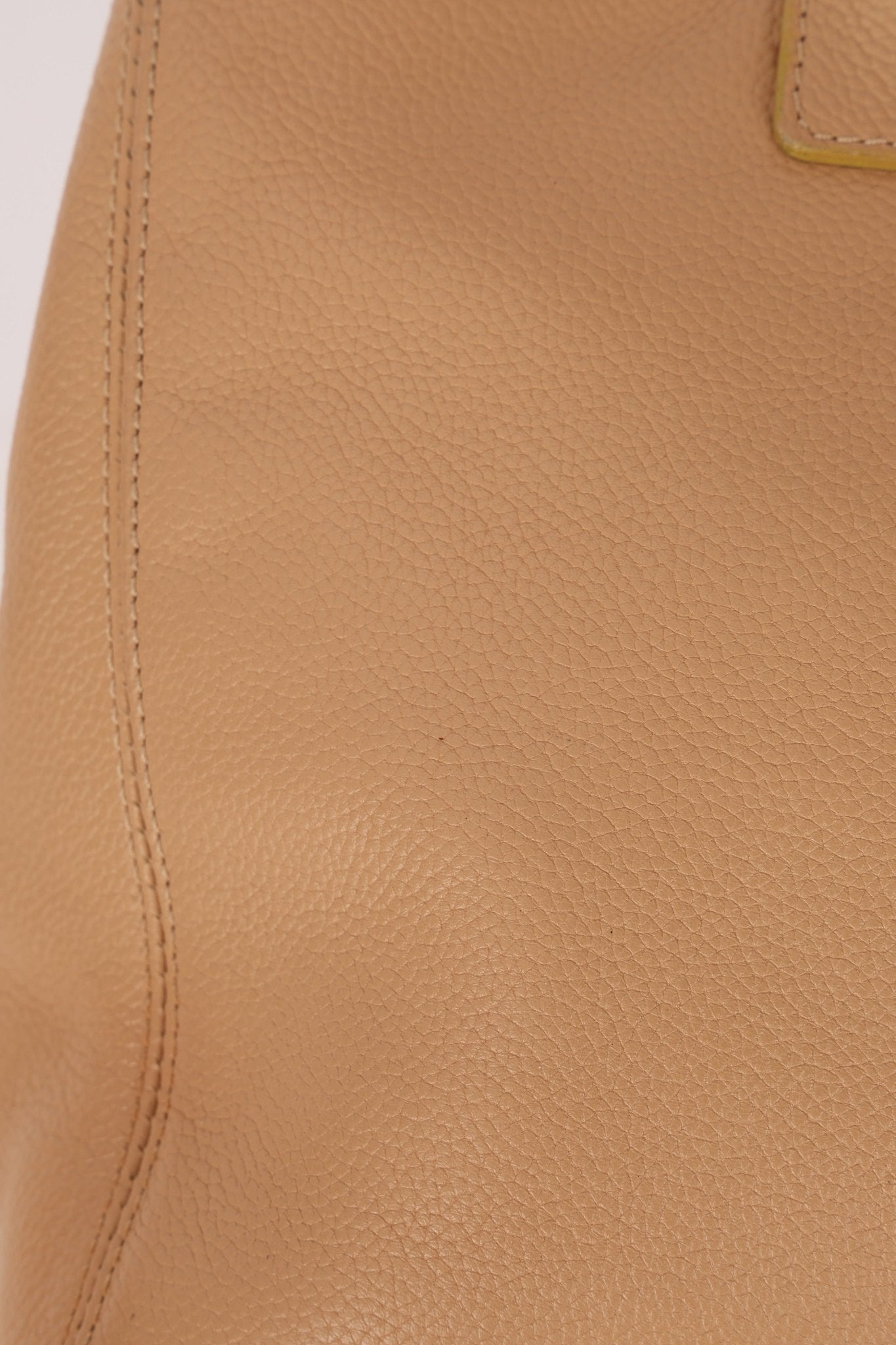 Chanel 2001 Beige Cerf Executive Medium Shopper Tote 24K GP - FashioNica