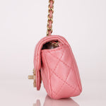 Chanel 2011 Precious Jewel Washed Calfskin Mini Flap Bag - FashioNica