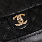 Chanel 2013 Caviar Globe Trotter Medium Flap Bag - FashioNica
