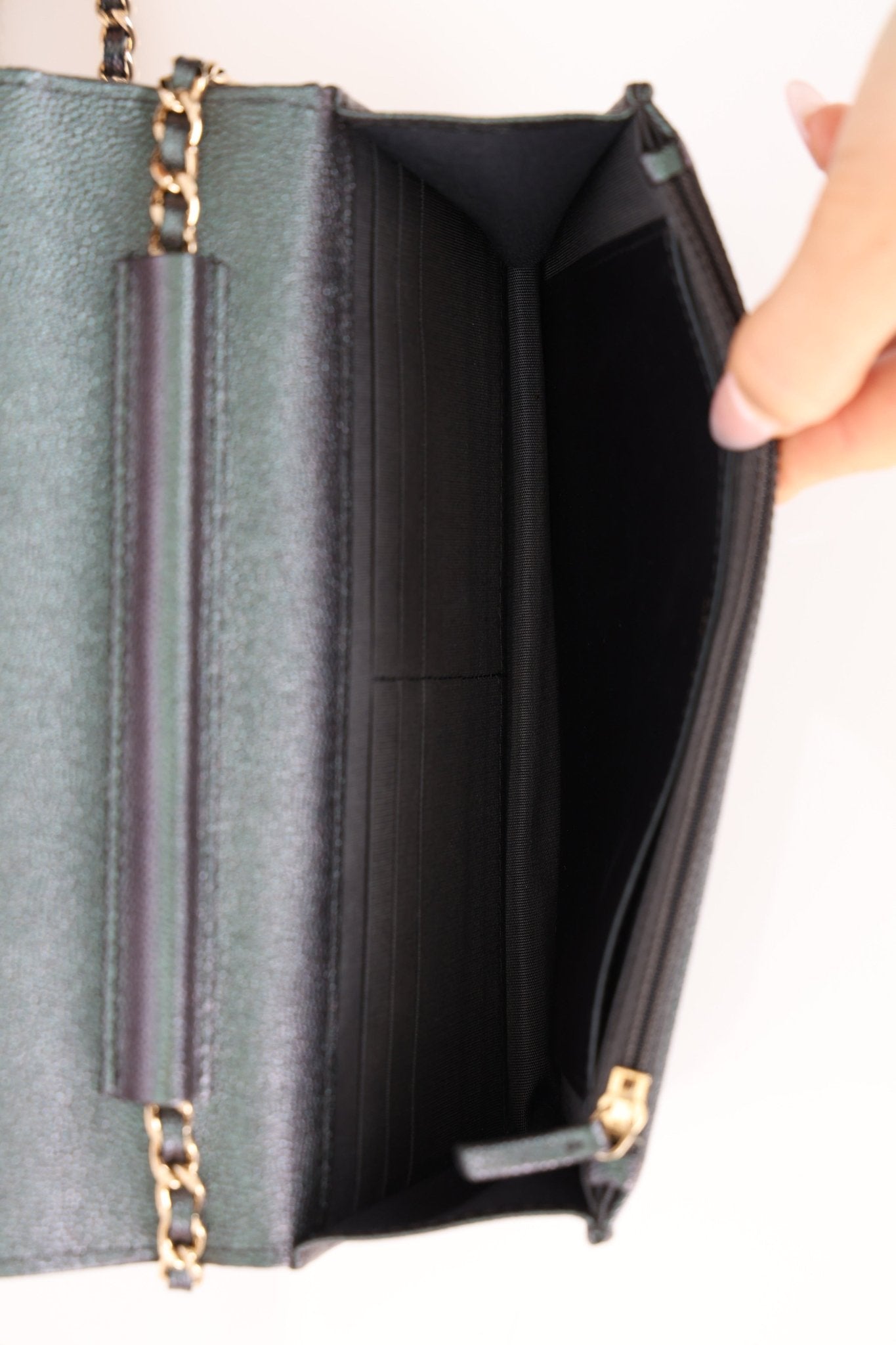 Chanel 2019 Caviar Iridescent Wallet on Chain GHW - FashioNica