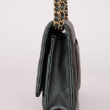 Chanel 2019 Caviar Iridescent Wallet on Chain GHW - FashioNica