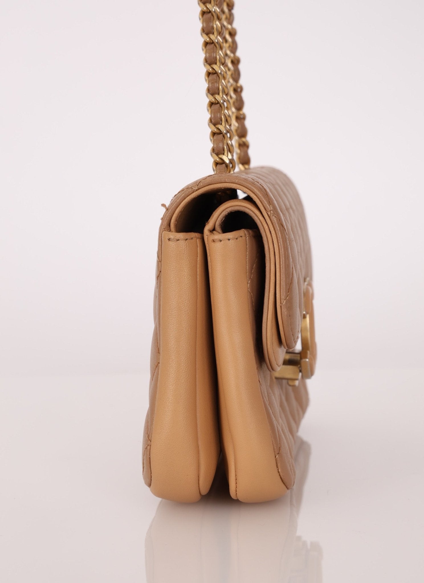 Chanel 2019 Chanel Iridescent CC Chic Small Flap Bag - FashioNica