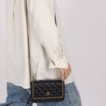 Chanel 2020 Chain Around Lambskin Wallet on Chain - FashioNica