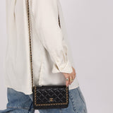 Chanel 2020 Chain Around Lambskin Wallet on Chain - FashioNica