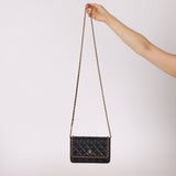 Chanel 2020 Chain Around Lambskin Wallet on Chain - FashioNica