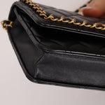 Chanel 2020 Chain Around Lambskin Wallet on Chain - FashioNica