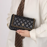 Chanel 2020 Chain Around Lambskin Wallet on Chain - FashioNica