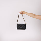 Chanel 2020 Chain Around Lambskin Wallet on Chain - FashioNica