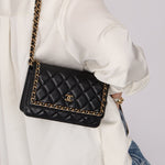 Chanel 2020 Chain Around Lambskin Wallet on Chain - FashioNica