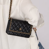 Chanel 2020 Chain Around Lambskin Wallet on Chain - FashioNica