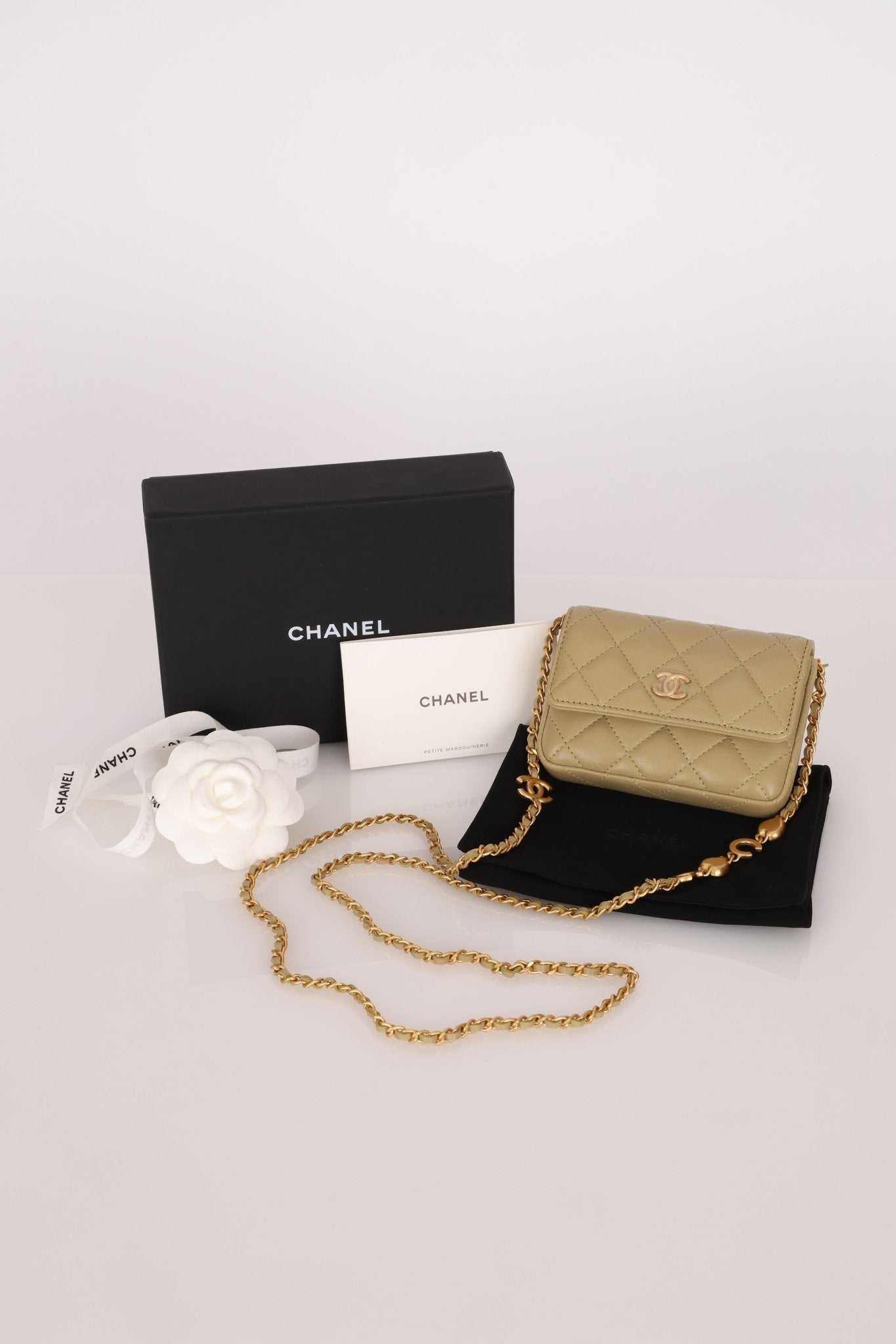 Chanel 2023 Lambskin Pistachio Coco Hearts Cardholder on Chain - FashioNica