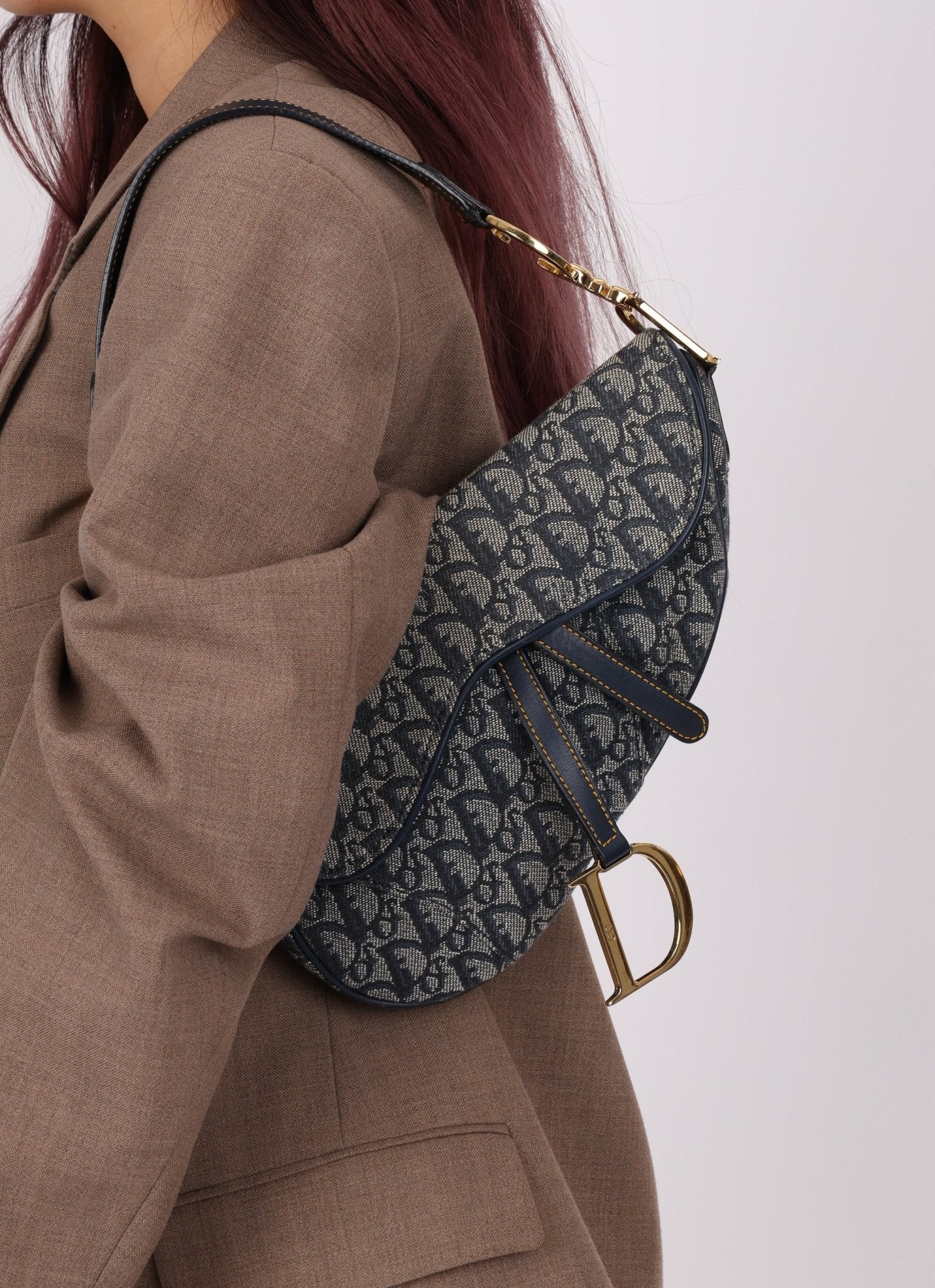 Dior 2000 Trotter Saddle Bag - FashioNica