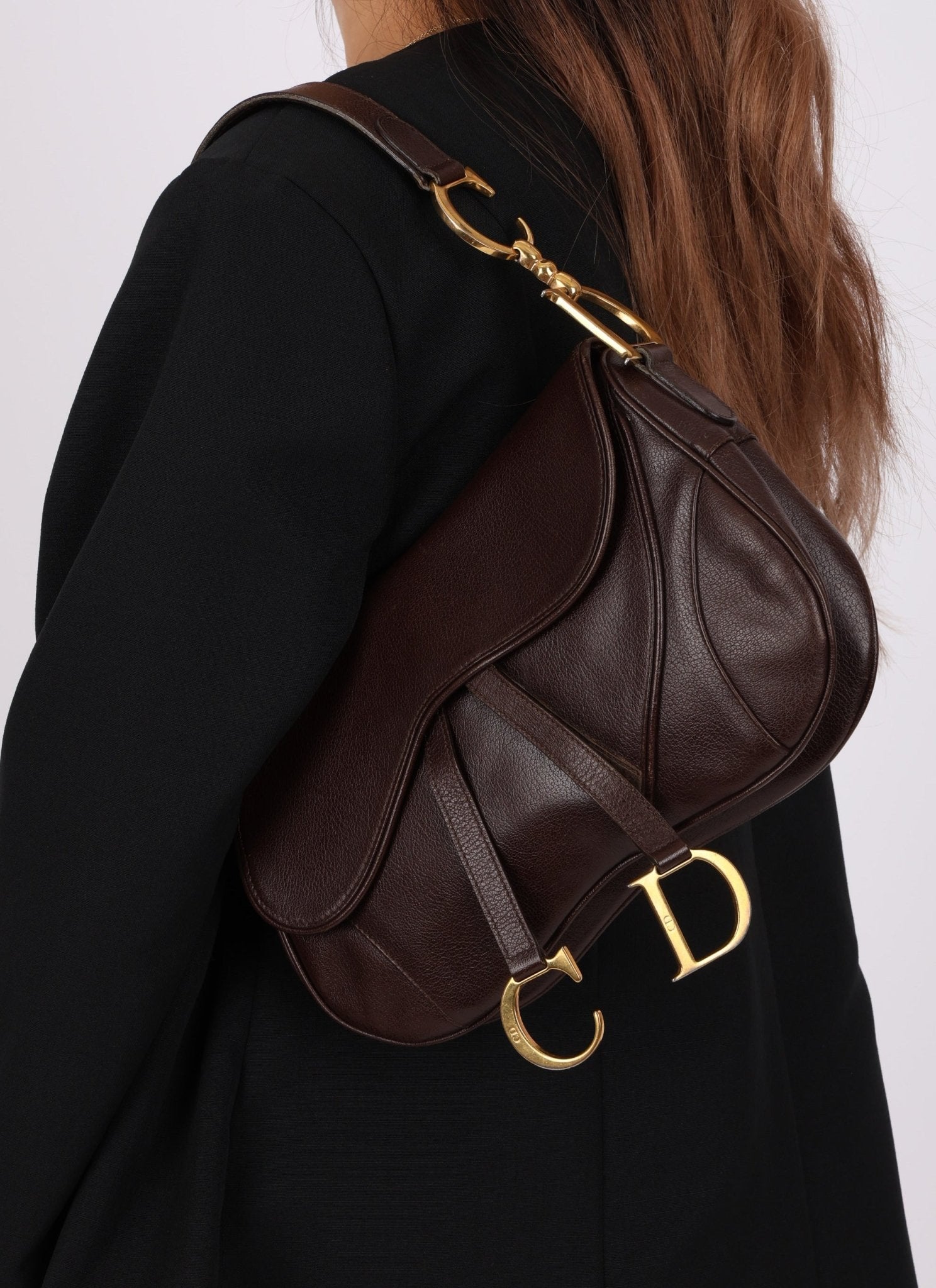 Dior 2001 Chocolate Calfskin Double Saddle Bag - FashioNica